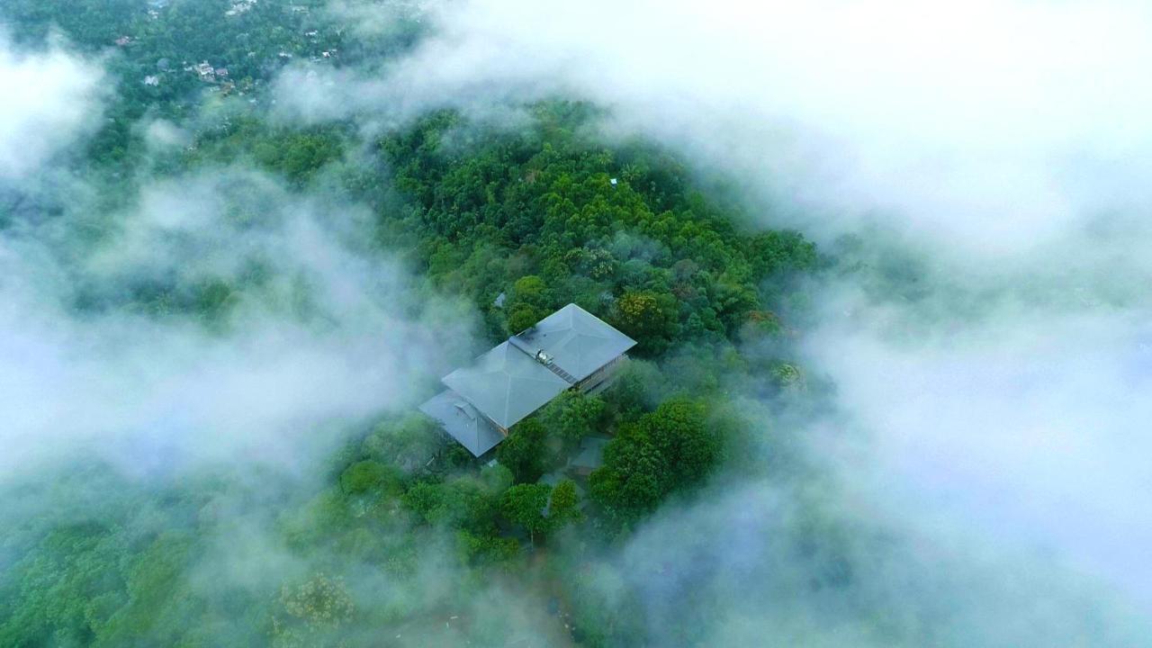 Elephant Passage Munnar Exterior photo Aerial view of the house
